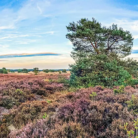 Дом отдыха 2 Bedroom Gorgeous In Вортхёйзен