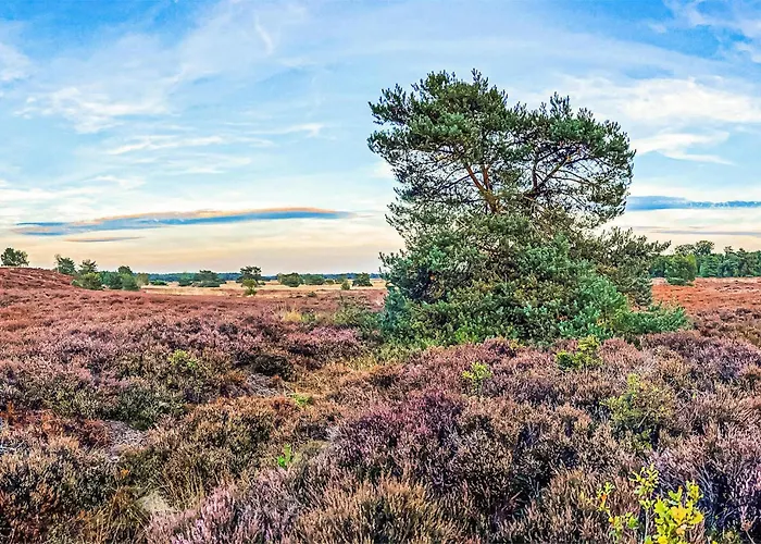 Hébergement de vacances 2 Bedroom Gorgeous In Voorthuizen